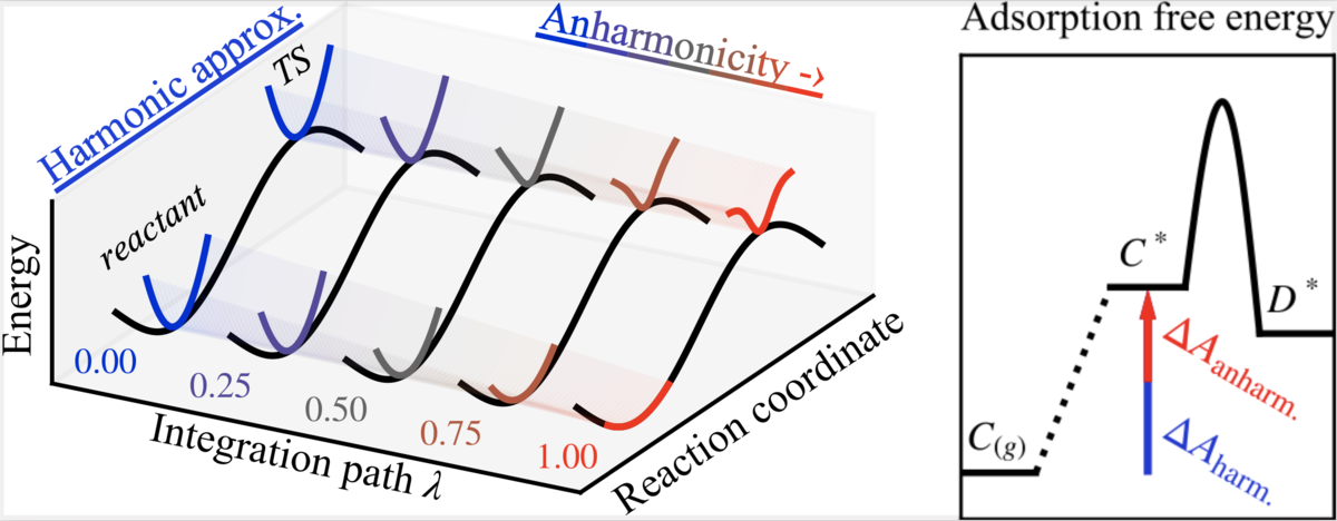 Thermodynamic integration from harmonic approximation to fully interacting system yields anharmonic correction to adsorption free energy.