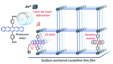 Illustration of a pentacene (Pn)-based metal–organic framework thin film fabrication scheme in a layer-by-layer fashion, and the impact of linker-dynamics on the hole mobility
