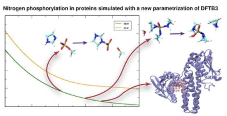 Nitrogen phosphorylation in proteins simulated with a new parametrization of DFTB3