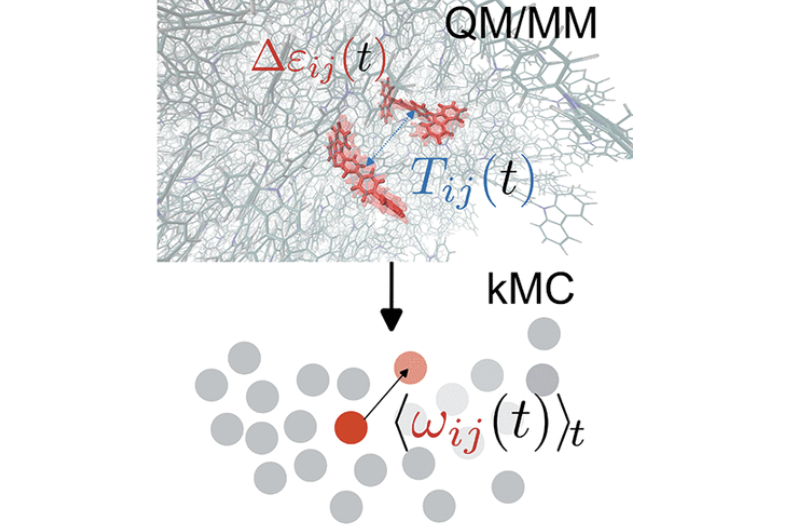 Graphical abstract for a study on dynamic effects on hole transport in amorphous organic semiconductors using a combined QM/MM and kMC approach.
