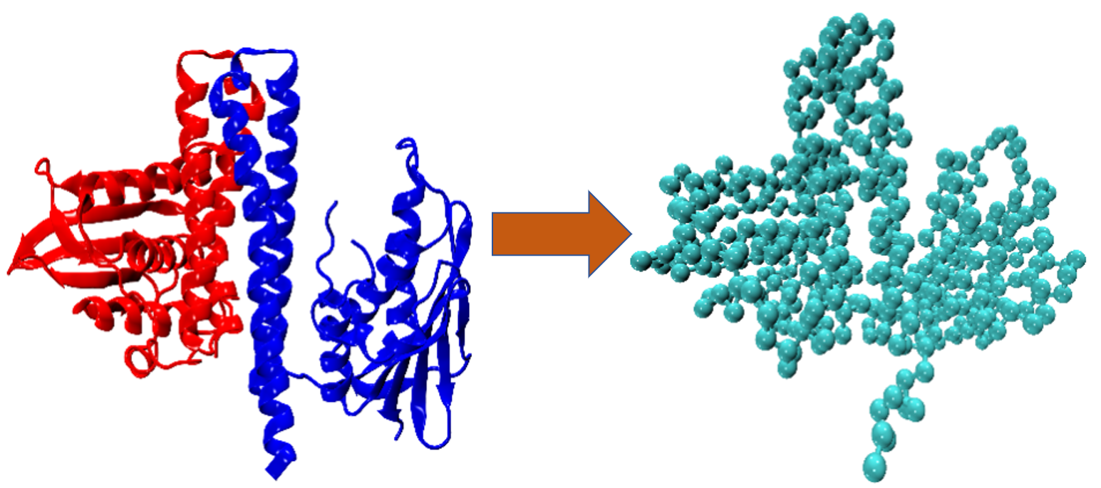 (A) C-alpha Go model showing how all atom model can be converted to coarse-grained model.