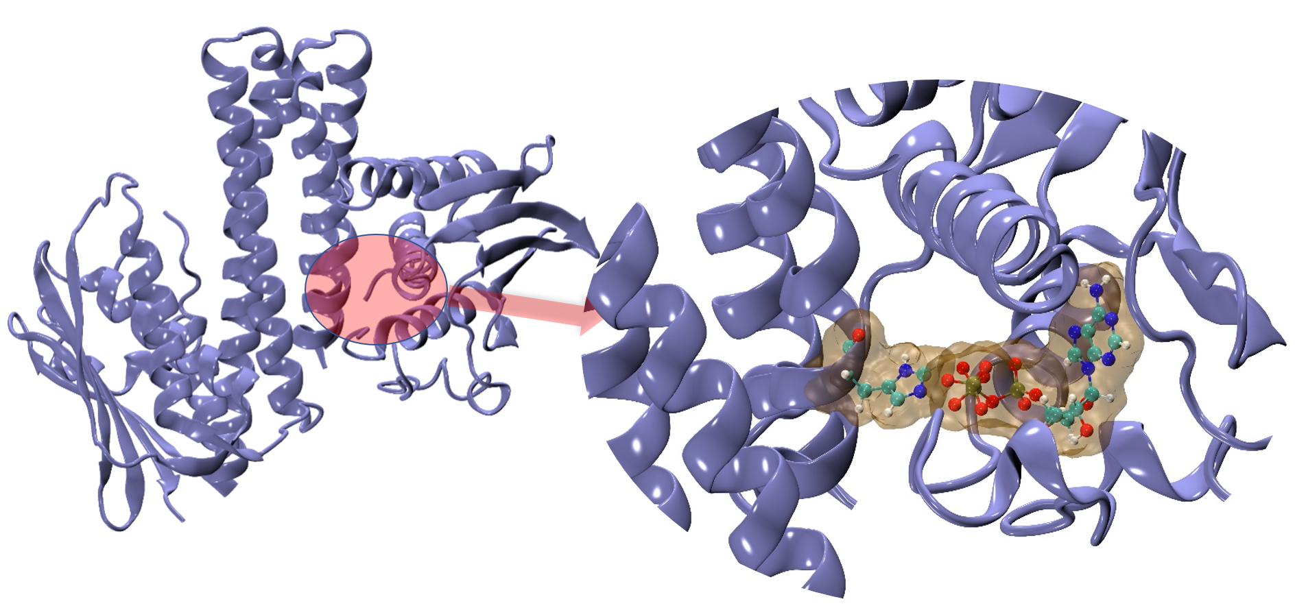 (B) QMMM showing reaction center QM region and overall protein in MM.