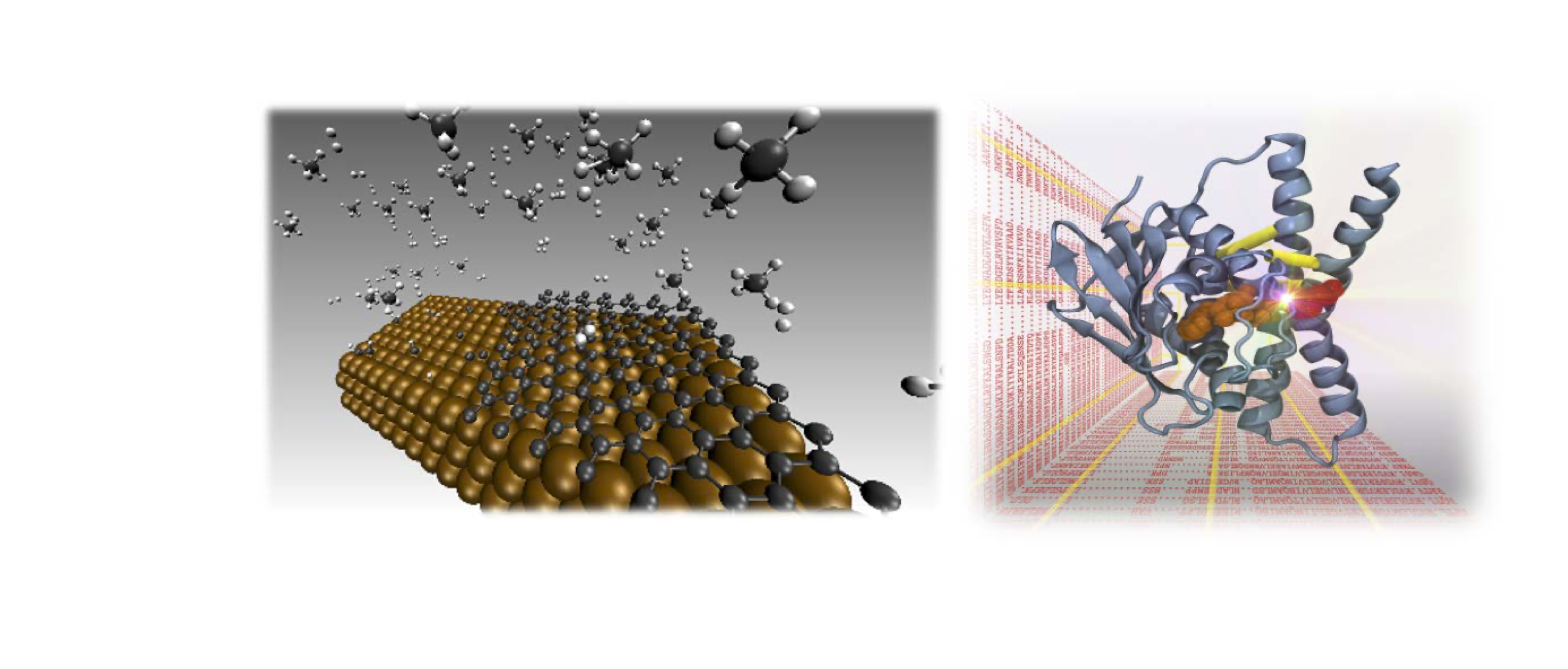 Carbon Growth on Cupper surface and Protein Complex.